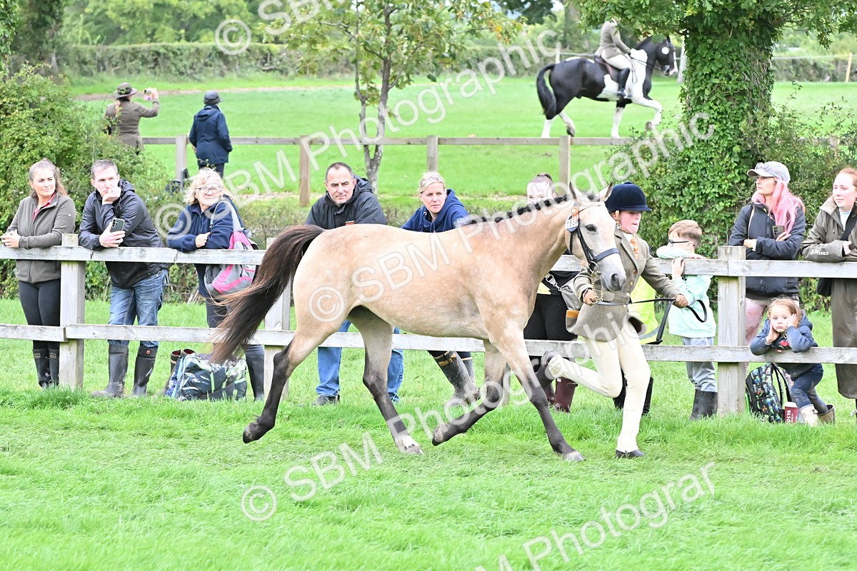 SBM_68520 - S42 - Junior Handler 9-12 Years