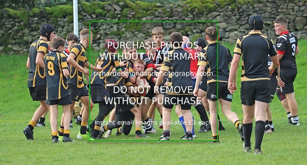 IMG_6381 - Workington Zebras Rugby (8/10/23)