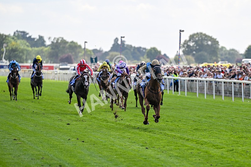 220826-Race 1-Archivist-9207 - Race 1 13.50pm Sky Bet Strensall Stakes