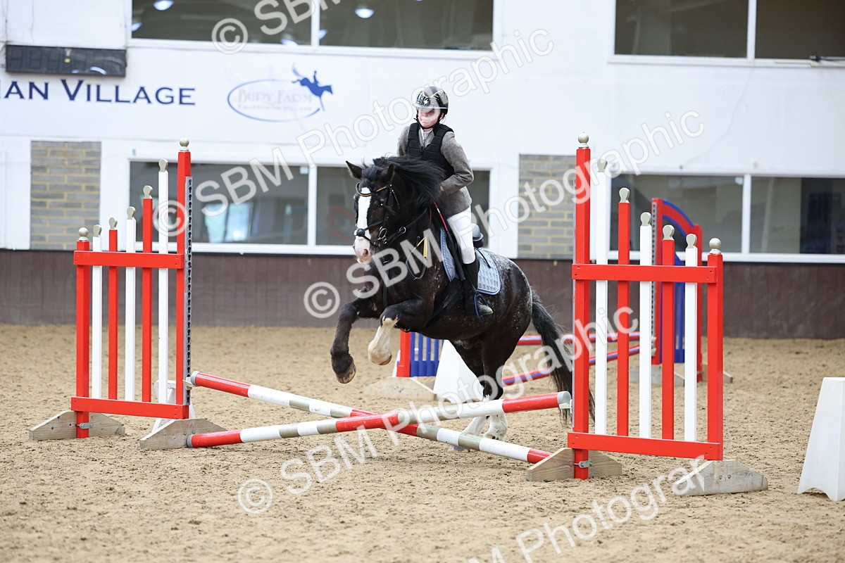 SBM_007711 - Class 3 - 60cm showjumping