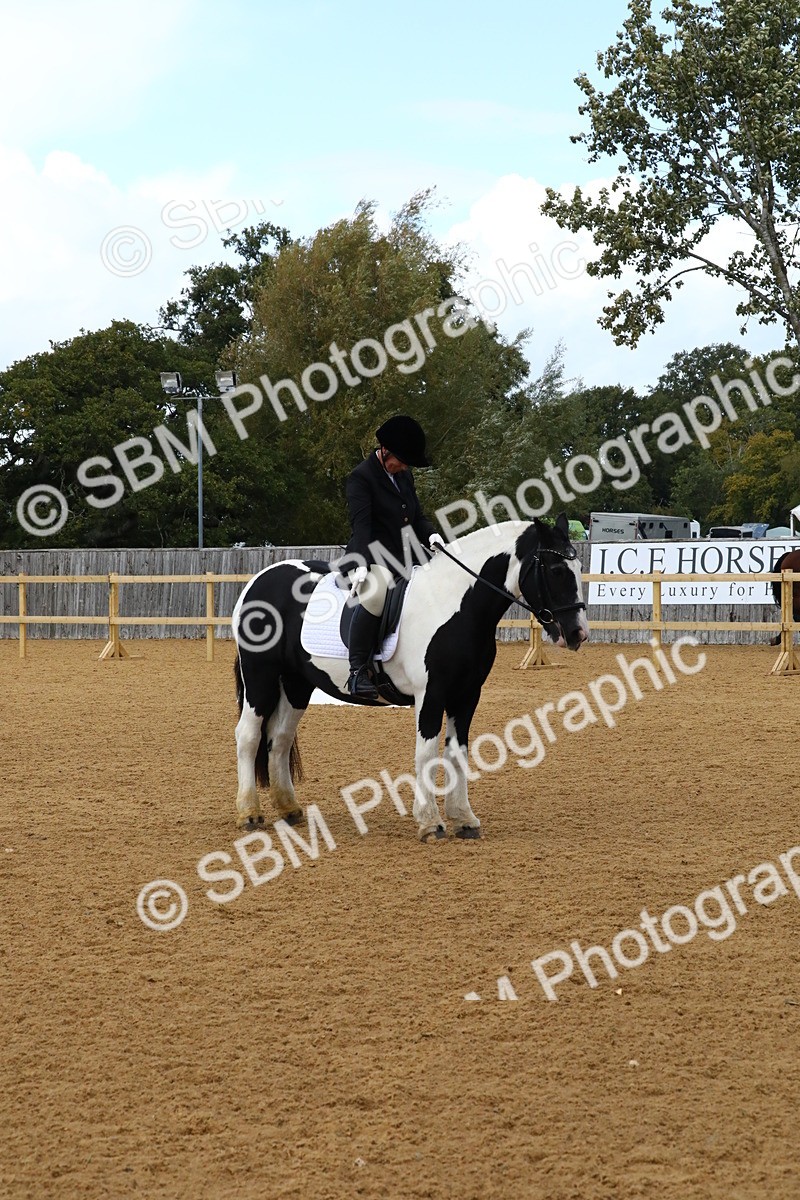 SBM_23441 - D5 - Small Tour Championshop Intro 2