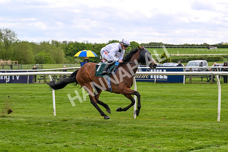 110526-Race 3-Laravie-0697 - Race 3 3.30pm Mick Rose Turns 70 Handicap