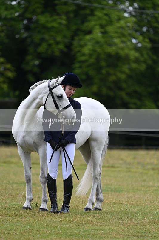 WJ7_6349 - Class 4a Prettiest Mare over 14hh
