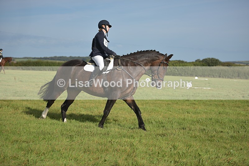 RAY_7502 - Class 2B: Trekenning Open: Dressage