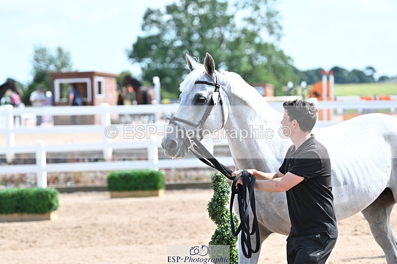 240717A-154005-02966 - Trot Up 3pm to 4pm