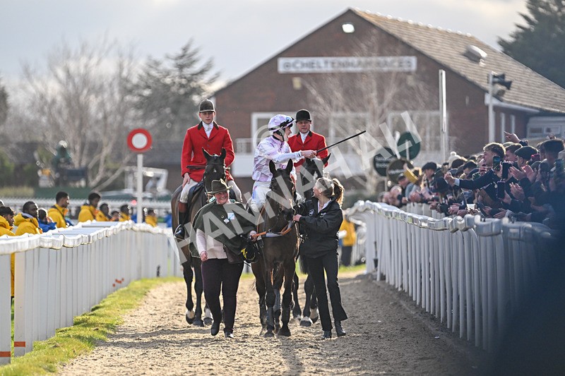 110325-Race 5-Golden Ace-3305 - 11th March