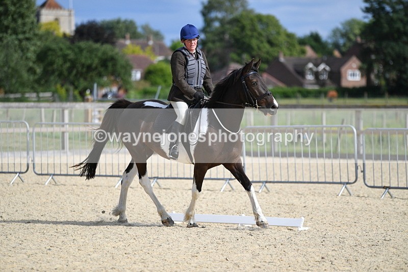 WJ5_7846 - Time 16:56 to 17:14