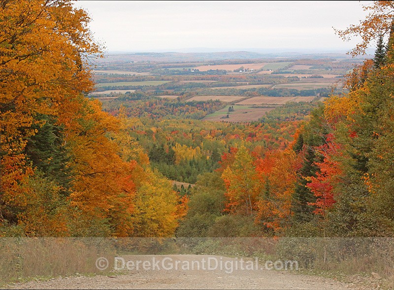 Country Road in Autumn Carleton-Victoria NB Canada Fall Foliage - Autumn Foliage