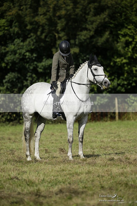 BVRC 120921 251 - Bourne Valley Riding Club UA Dressage & Show Jumping 12/09/21