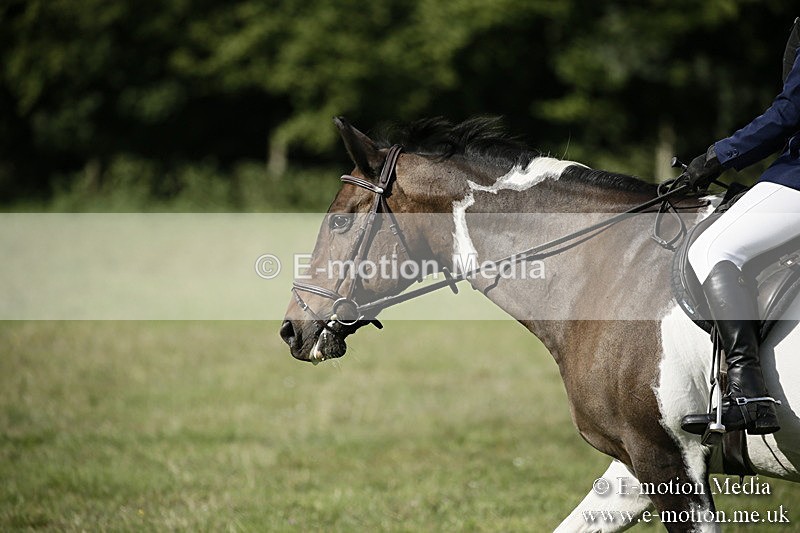 BVR090918 353 - BVRC Dressage and Show Jumping 09/09/18