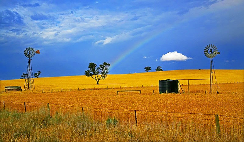 Two Windmills 2 - COUNTRY SCENES PHOTOS