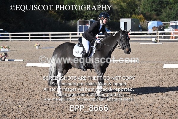 BPP_8666 - LONG ARENA