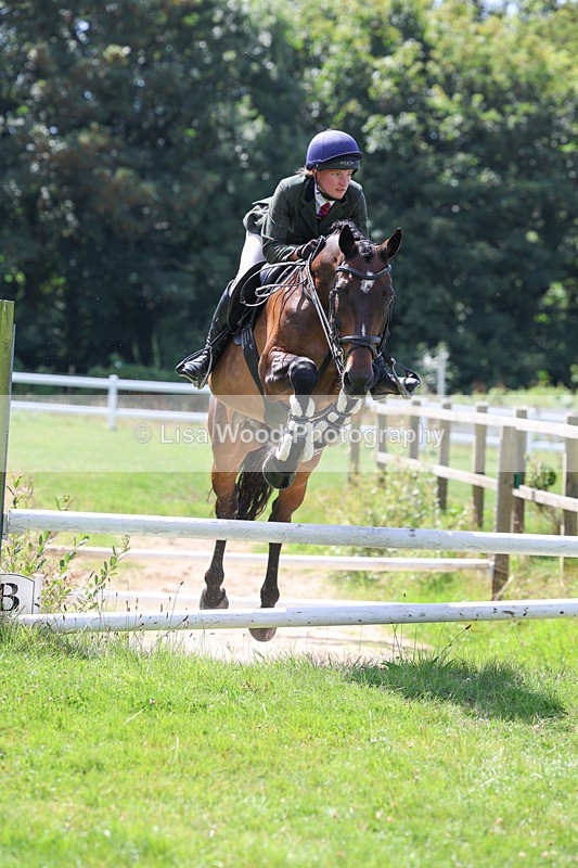 3E7A8922 - Class 6: Open Working Horse