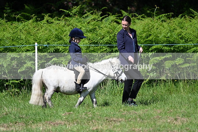 WJ7_0674 - Class 8 First Rally Pony