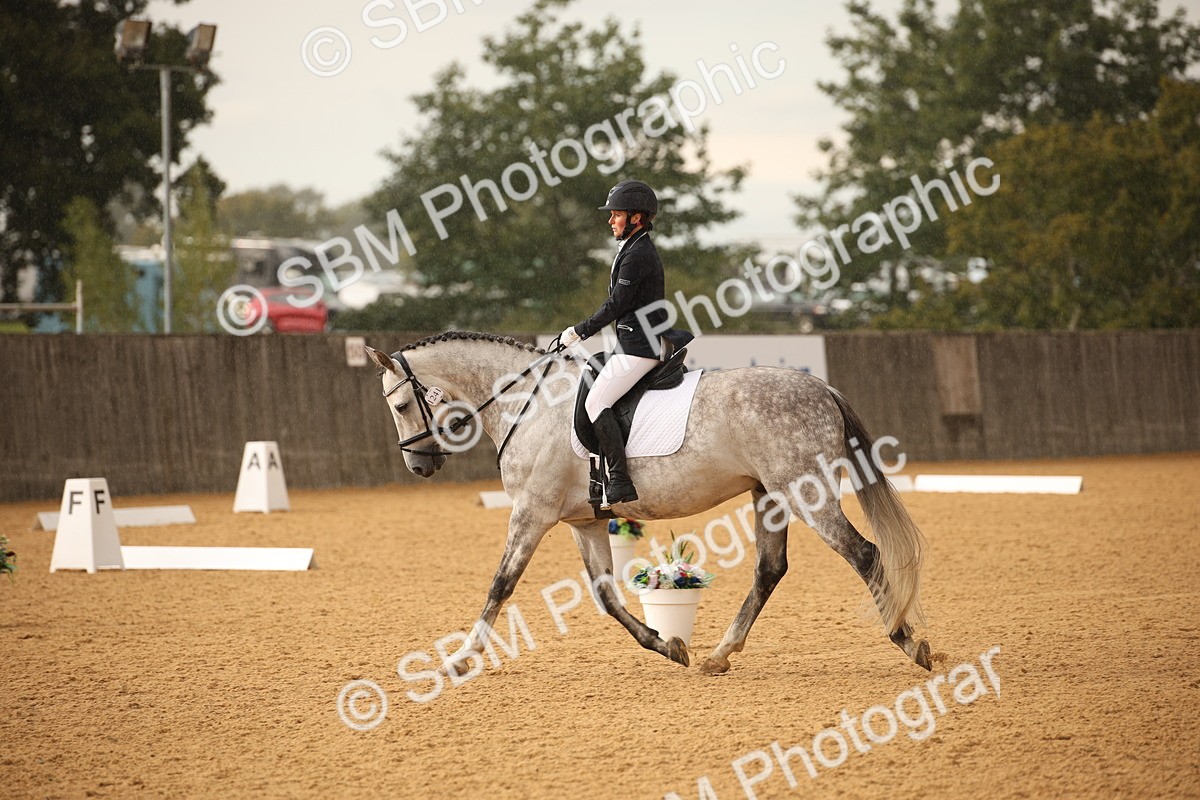 SBM_12357 - D3 Small  Tour Championship Intro A