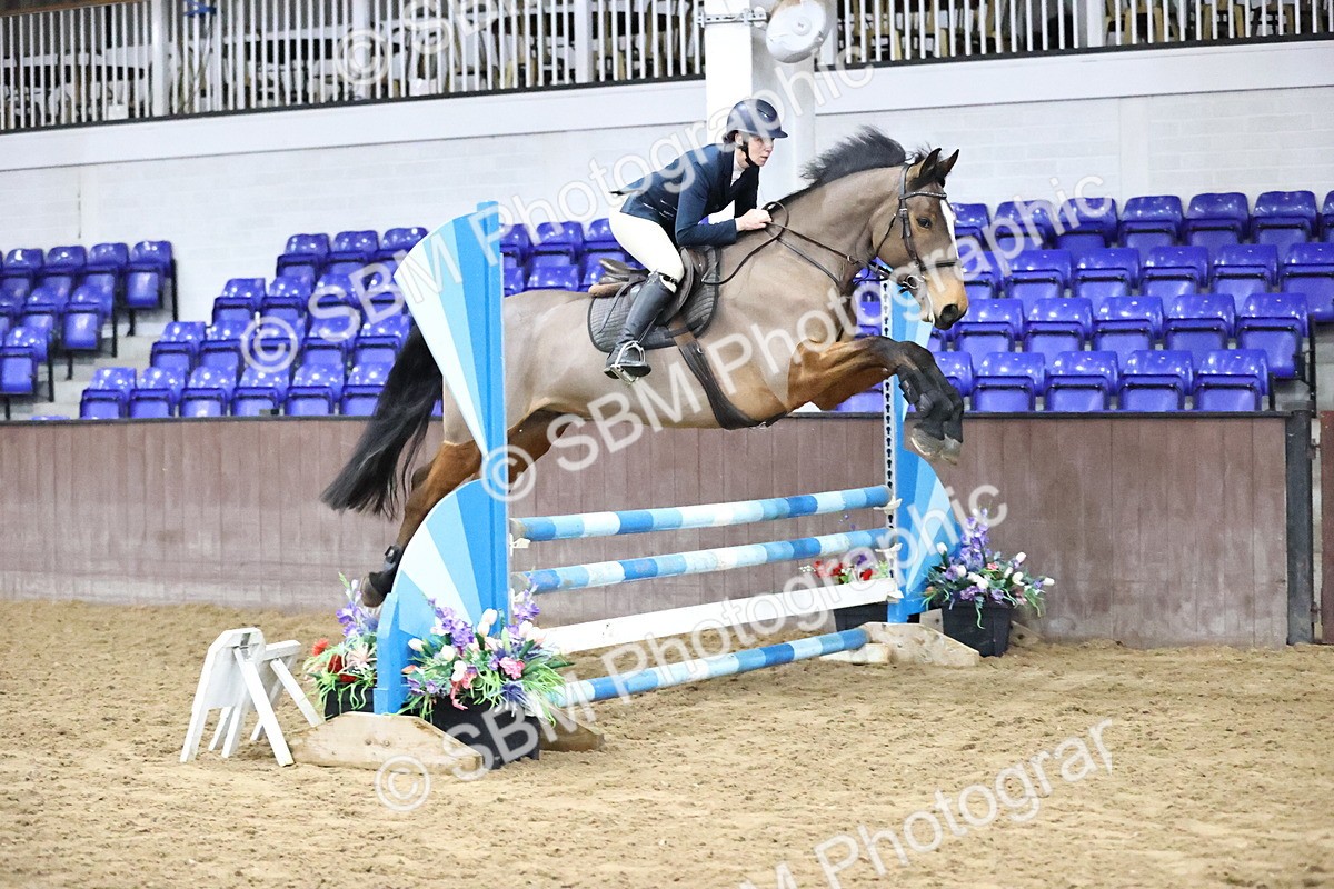 SBM_002075 - Class 8 - Senior British Novice - 90cm