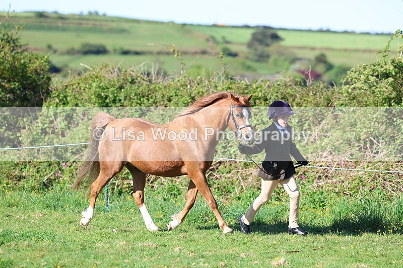 3E7A8345 - Class 12: M & M Small Breeds