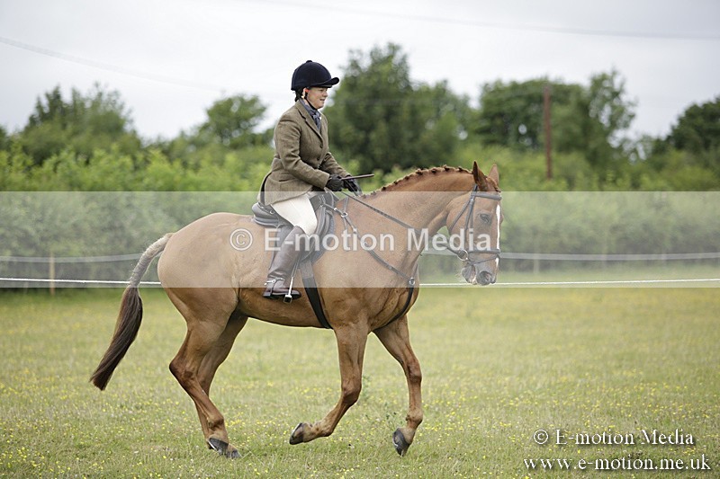 BVR160717-770 - Ring 1 BVRC Show 16/07/17