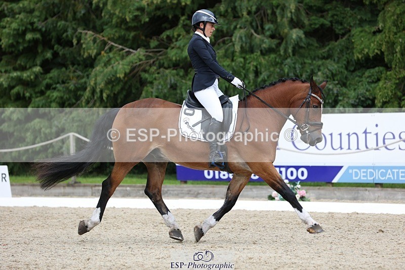 230812-150858-05062 - Cls 5 Novice Bronze 15.00 to End