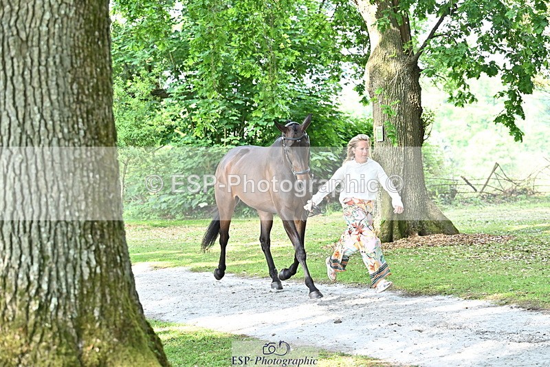 250521A-165815-01438 - C-275-Kat.Raybould-ROYAL.CATCH