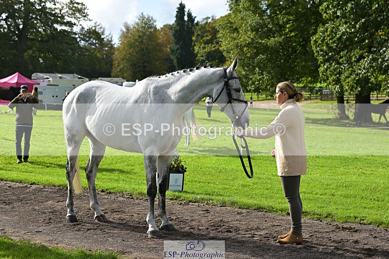 241023-132026-00214 - 014-Lizzie.Luxton-ST.TROPEZ