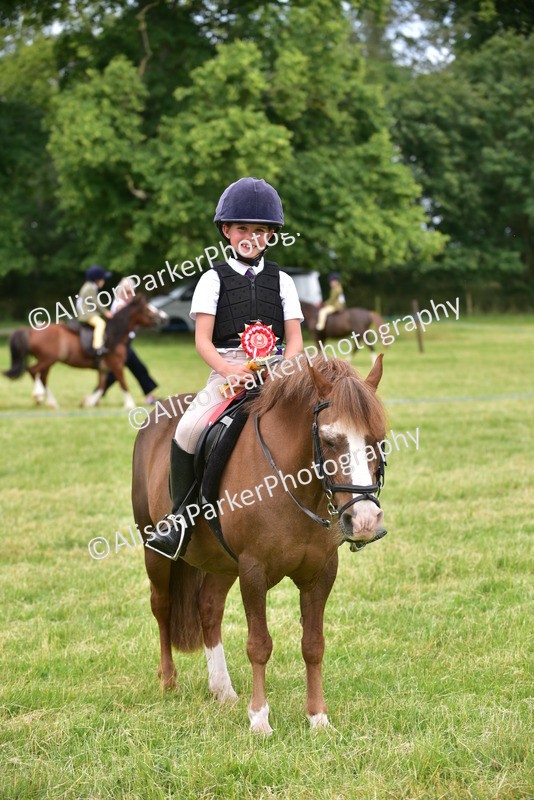 20260614-2710 - Class 13 - Pony Club Pony