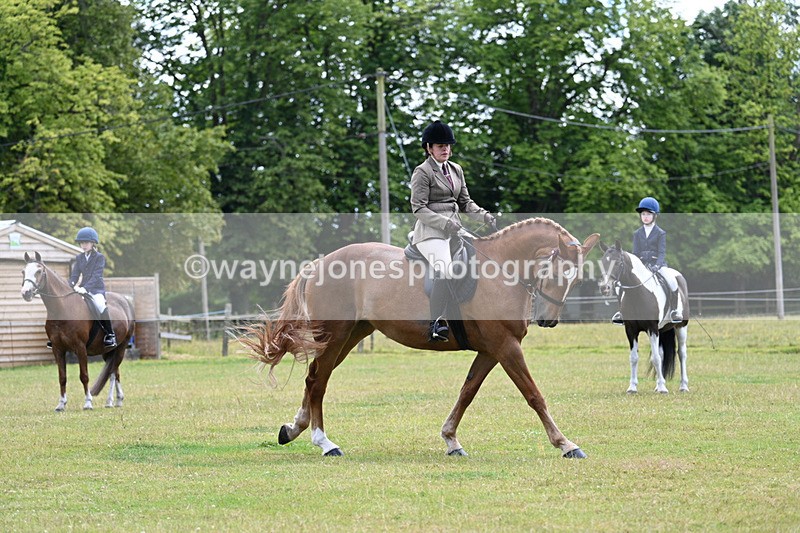 WJ7_9337 - Class 8 Ridden Veterans