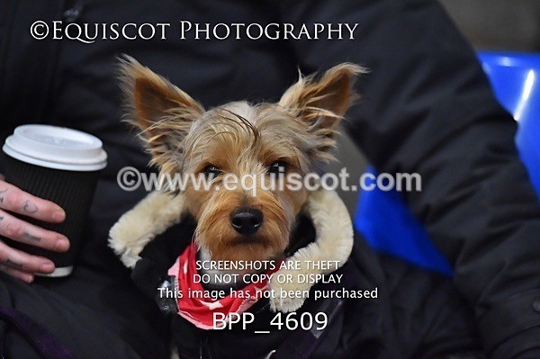 BPP_4609 - FRI CLASS 26 WINTER GRADES B&C QUALIFIER
