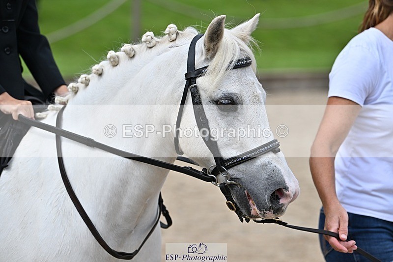 230824-130251-03249 - Round 1 Lead Rein Start to 13.50 cw