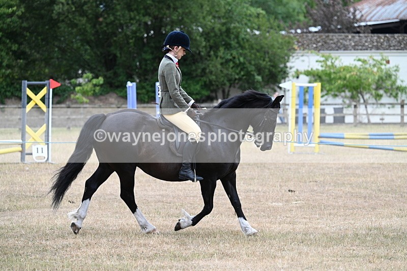 WJ7_0481 - Class 6 Ridden Mountain and Moorland