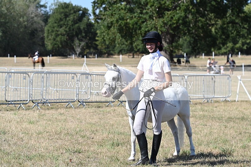 WJ6_9381 - Class 40 Cheekiest Pony/Horse