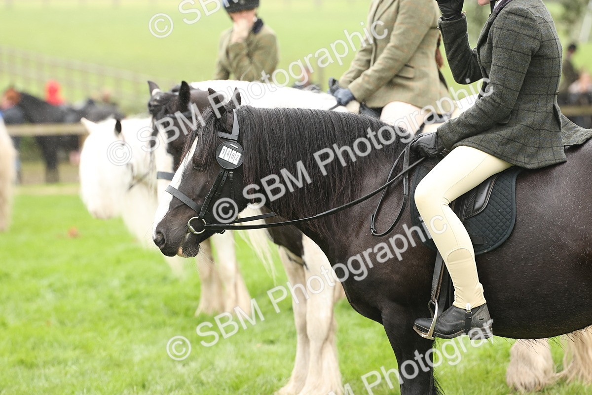 SBM_72808 - S70 - Traditional Cob Ridden