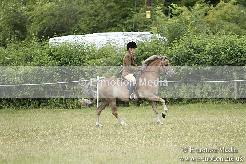 BVR160717-128 - Ring 3 BVRC Show 16/07/17