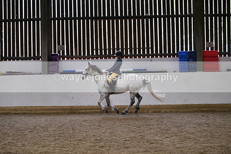 WJ5_7936 - Class 13 Ridden Part Breed