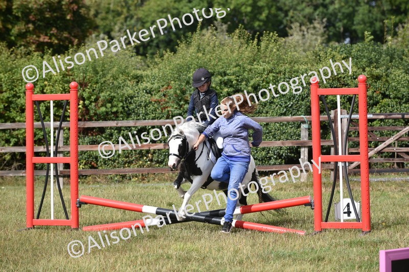 20250831-1814 - Class 8 - Hoof and Foot