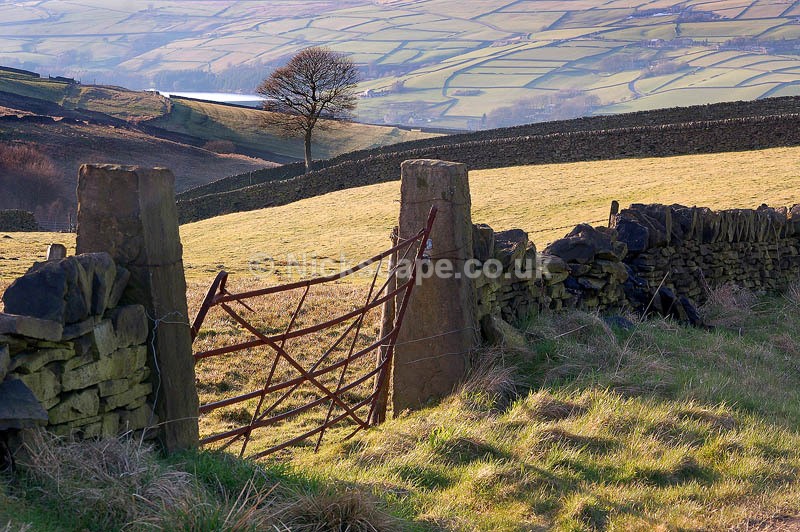 Cartworth Moor | Summer Wine Countryside | Yorkshire Landscape Photography