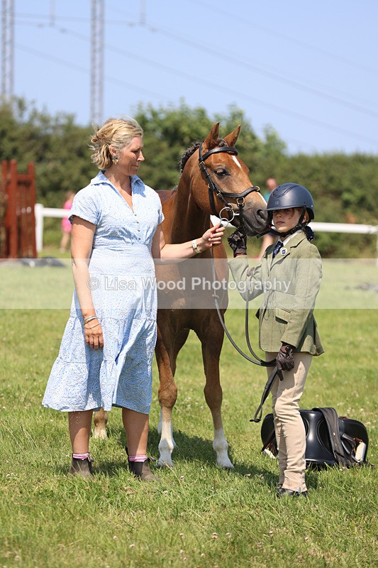JPP_2882 - Class 21: Working Hunter 60cm