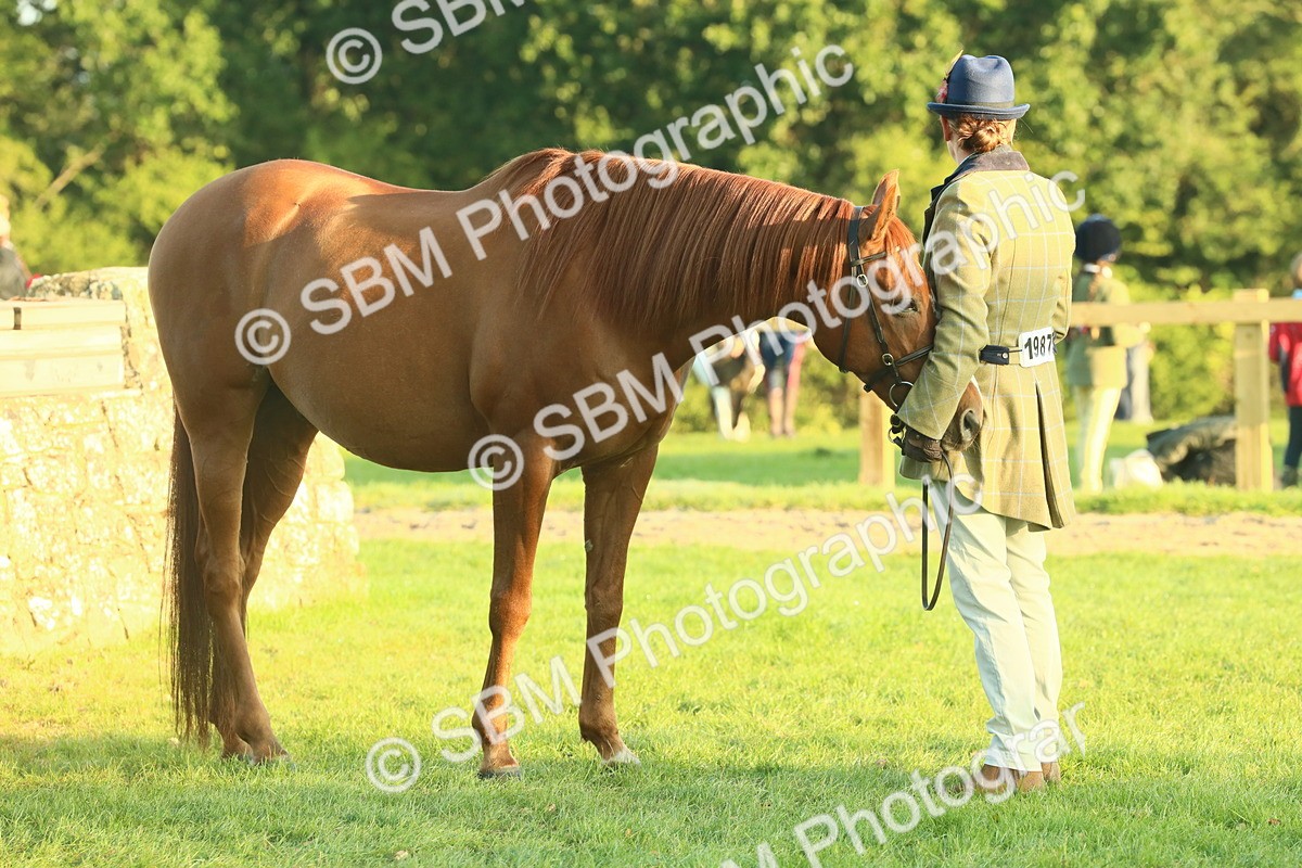 SBM_56610 - S36 - Starters Best Turnout