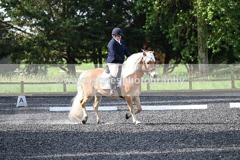 WJ7_7970 - Time 10:11 to 10:27