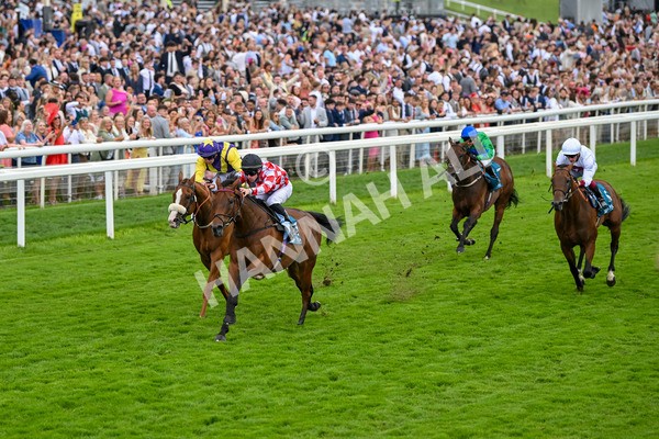 270724-Race 6-Ziggy-7511 - Race 6 5.10pm Sky Bet, For The Fans Handicap