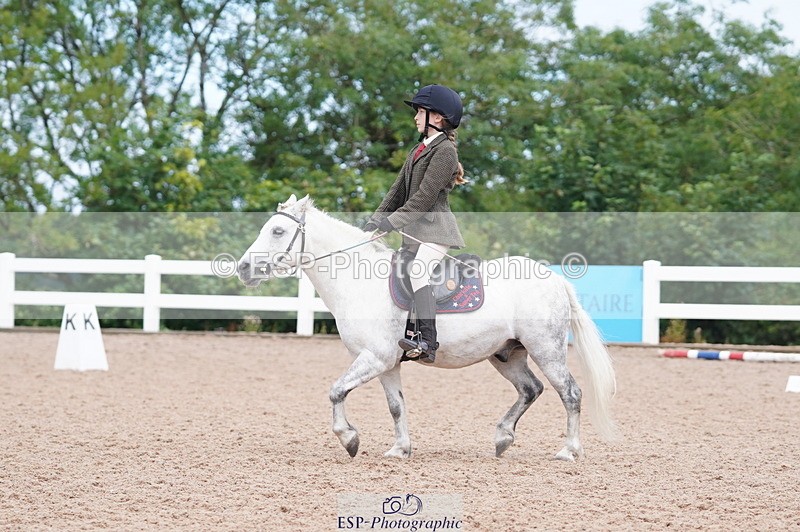 240809A-104552-00654 - Dressage Competition