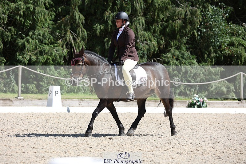 230811-144310-02082 - Cls 1 Prelim Bronze 13.30 to 14.50 break