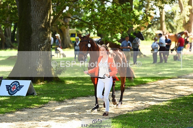 230524-150656-00067 - 306-JELSON-Lucy_Collecott-WEDTrotUp+DR