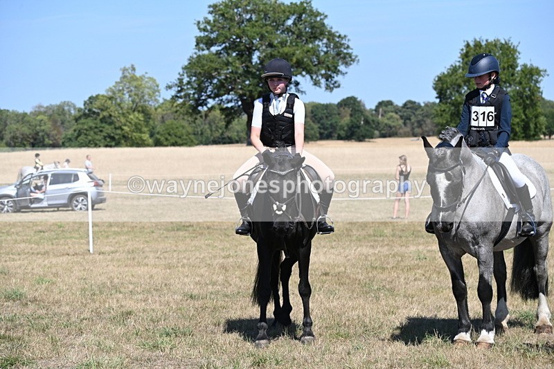 WJ6_8410 - Class 37a Best Loan Pony Ridden
