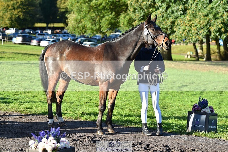 231022-094852-22045 - 494-WEST.FIELD.REBEL-Laura.Bilham-TrotUp+SJ