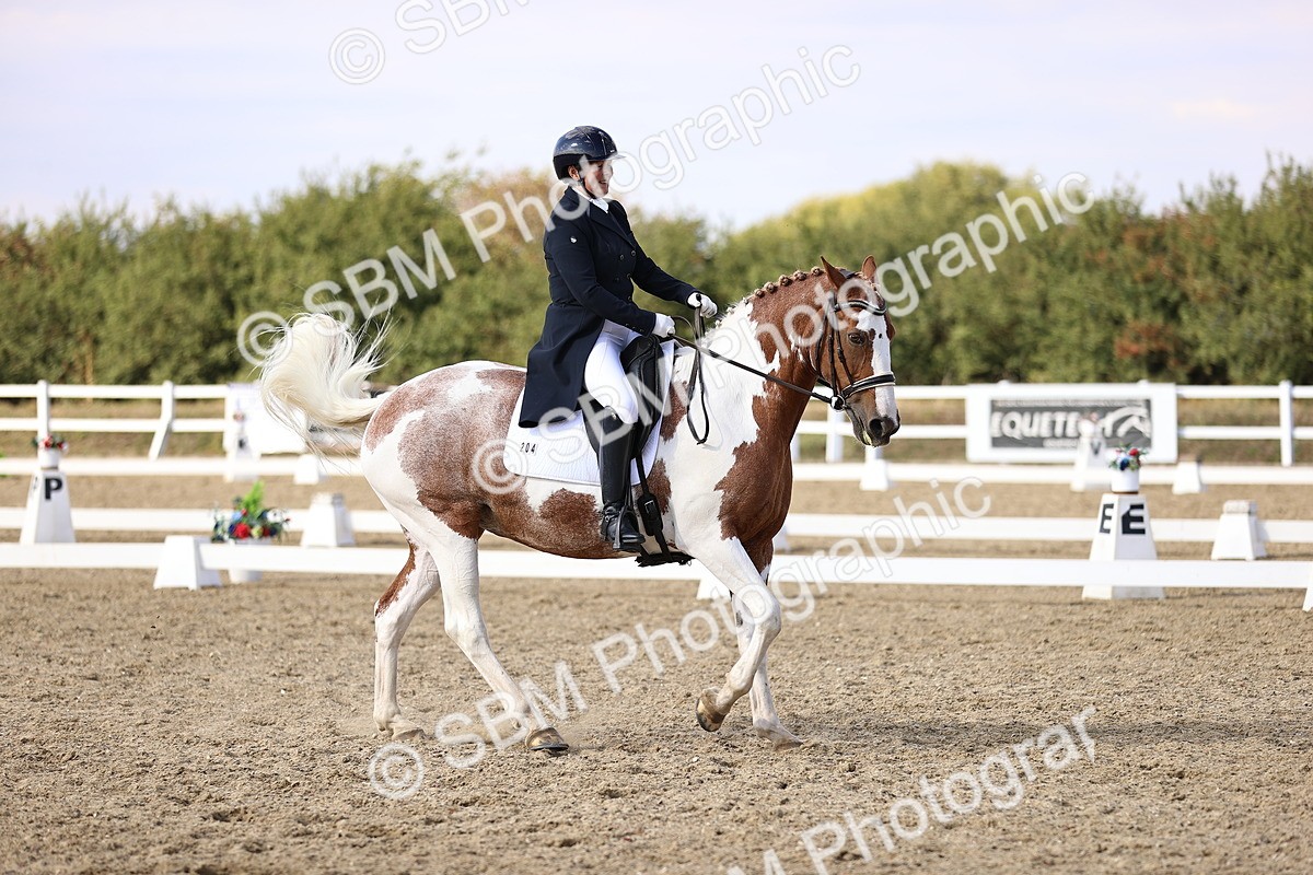 SBM_015449 - Class 11 - FEI PSG