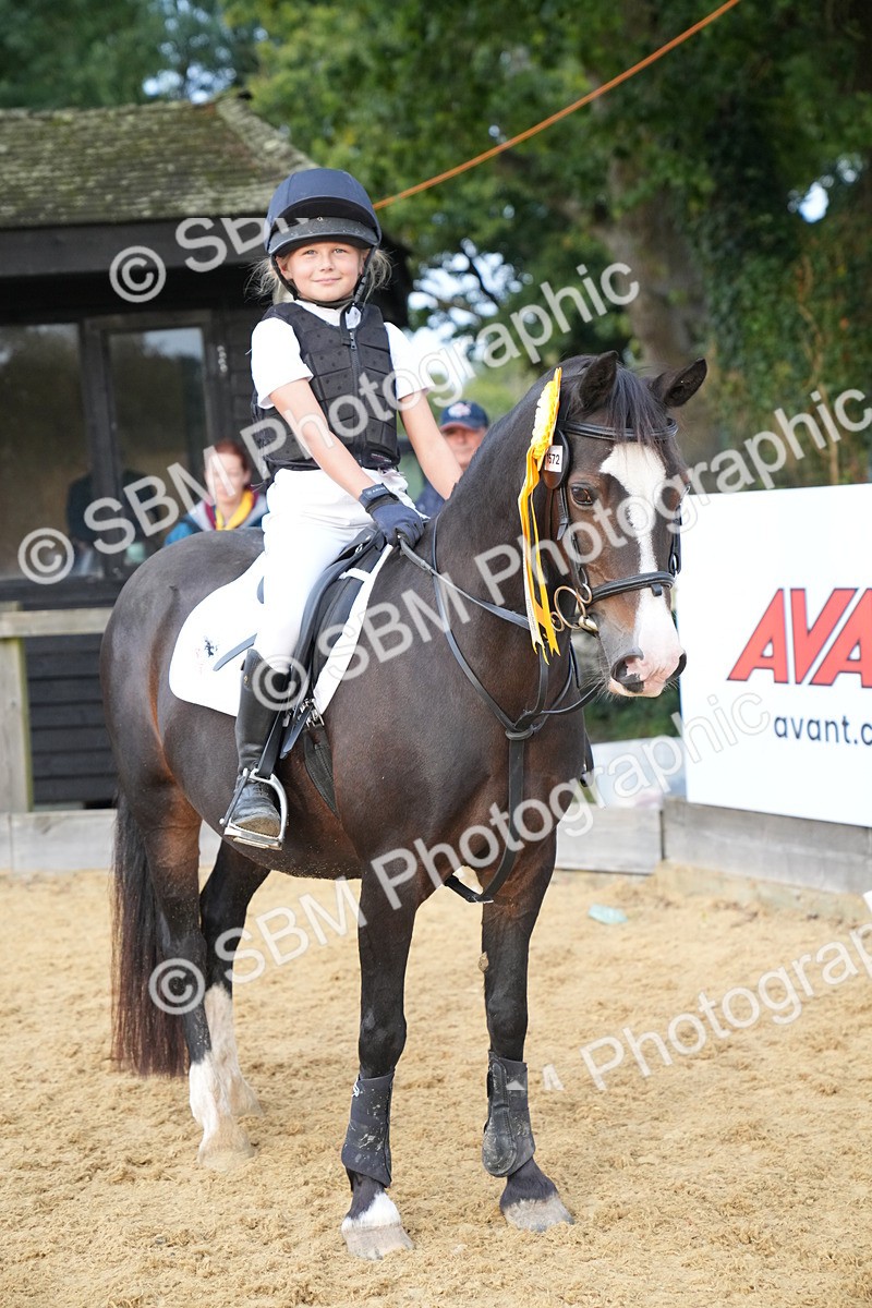 SBM_74950 - J4 - Mini Tour Junior Pony 45cm Championship