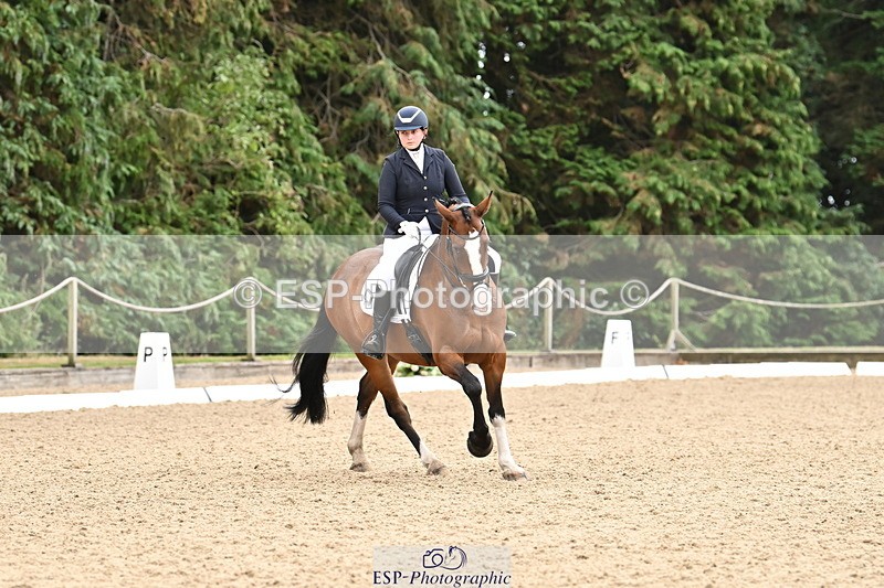 250808A-111327-00413 - 092-Bella.Balian-Beechwood.Joey