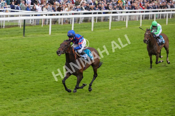 150624-Race 1-Lord Melbourne-6069 - Race 1 1.50pm Queen Mother's Cup Handicap