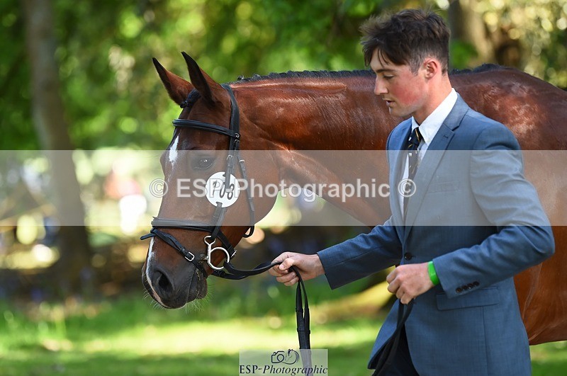 230524-163630-00977 - 108-LYJADOR-Clementine_Crosthwaite_Eyre-WEDTrotUp+DR